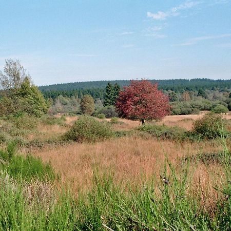 Villa Loeftchen Roetgen Esterno foto