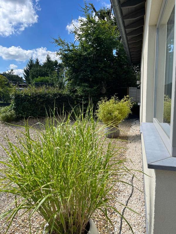 Villa Loeftchen Roetgen Esterno foto